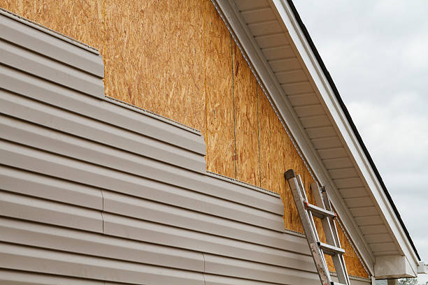 Professional Wood Siding technician working in Safety Harbor, FL